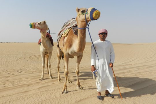 Tour image 6